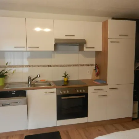 Апартаменты Casa Riposo Флумзерберг